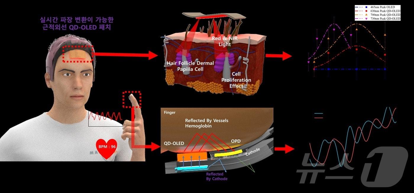 모발 증식 및 심박수 측정용 고유연 QD-OLED 패치 플랫폼. &#40;가천대 제공&#41;/뉴스1