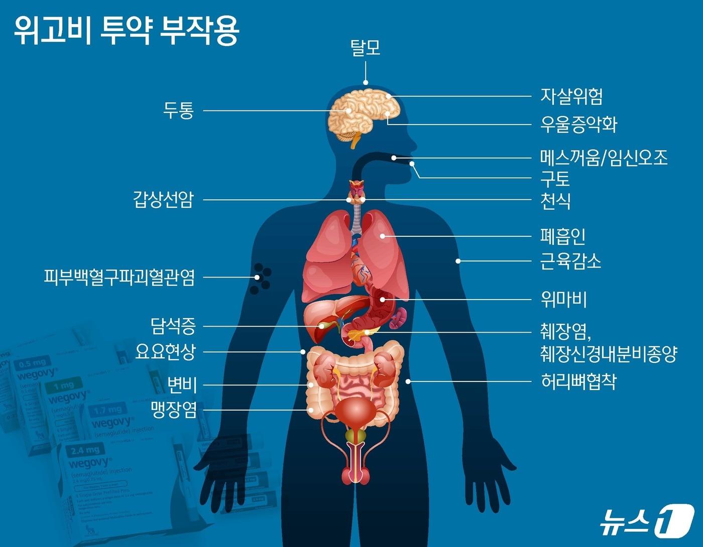 ⓒ News1 양혜림 디자이너