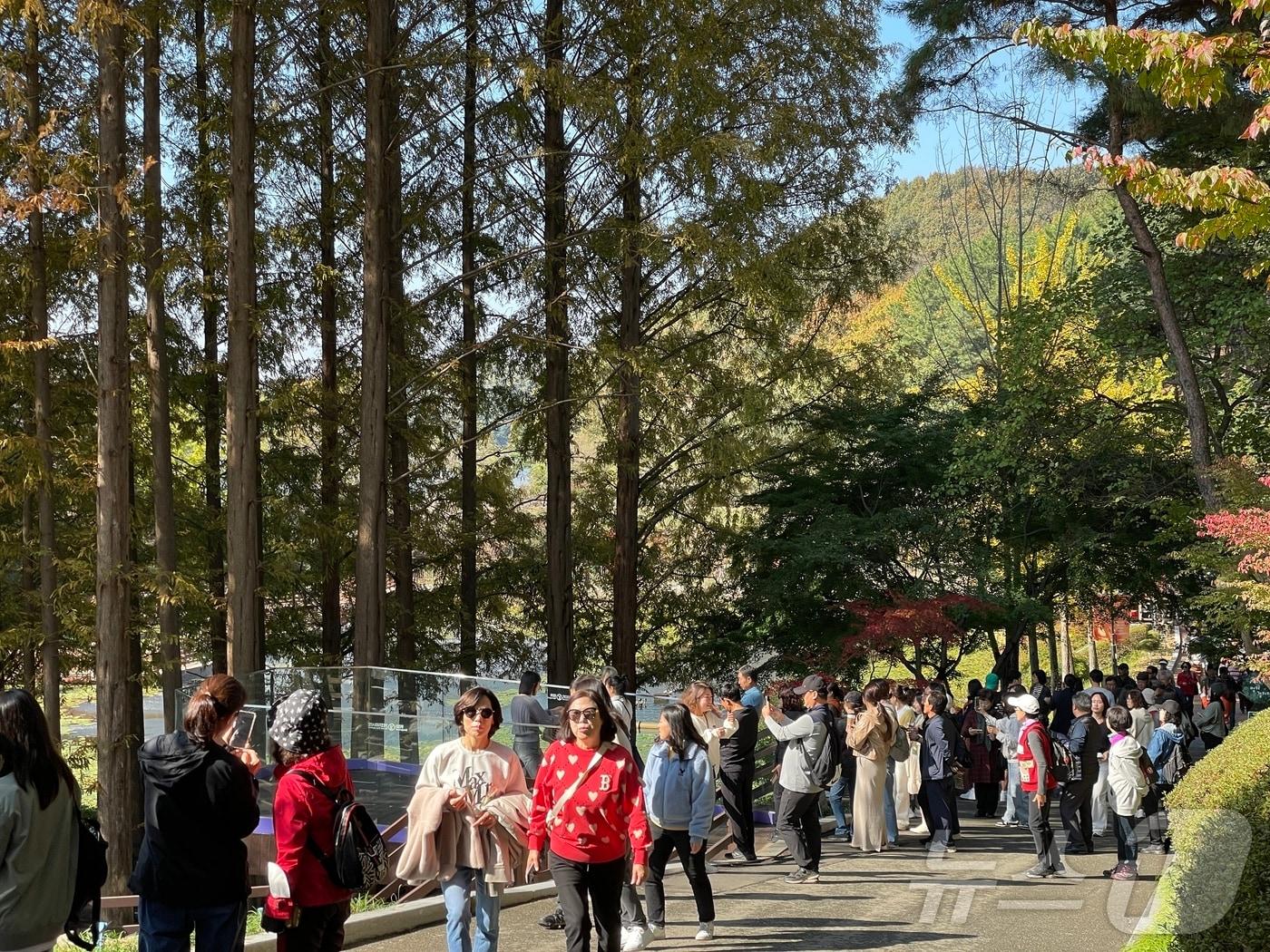 청남대 가을 축제장을 찾은 관광객들.&#40;청남대 제공&#41;2024.11.11/뉴스1