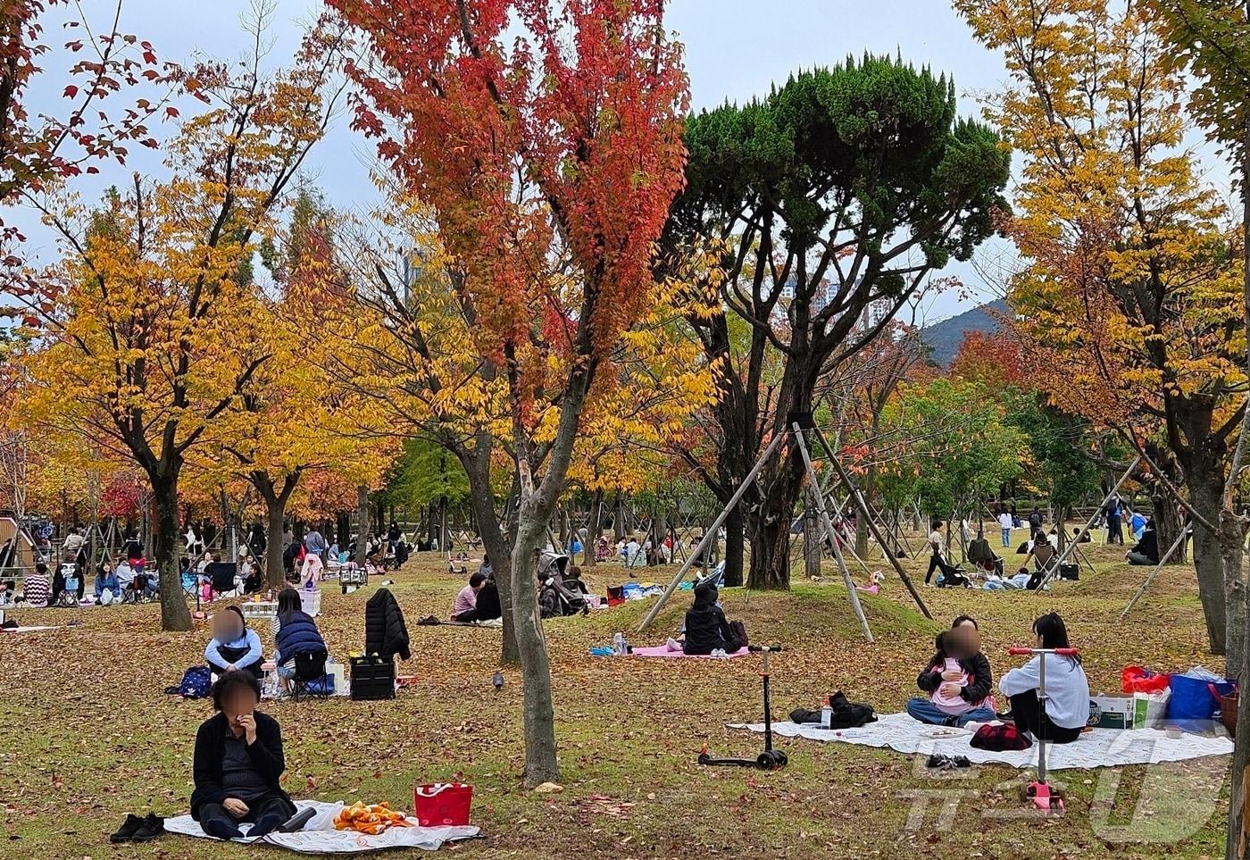 10일 부산시민공원에서 나들이객들이 잔디밭에 돗자리를 펴고 여유로운 시간을 보내고 있다.2024.11.10/ 뉴스1 ⓒ News1 조아서 기자