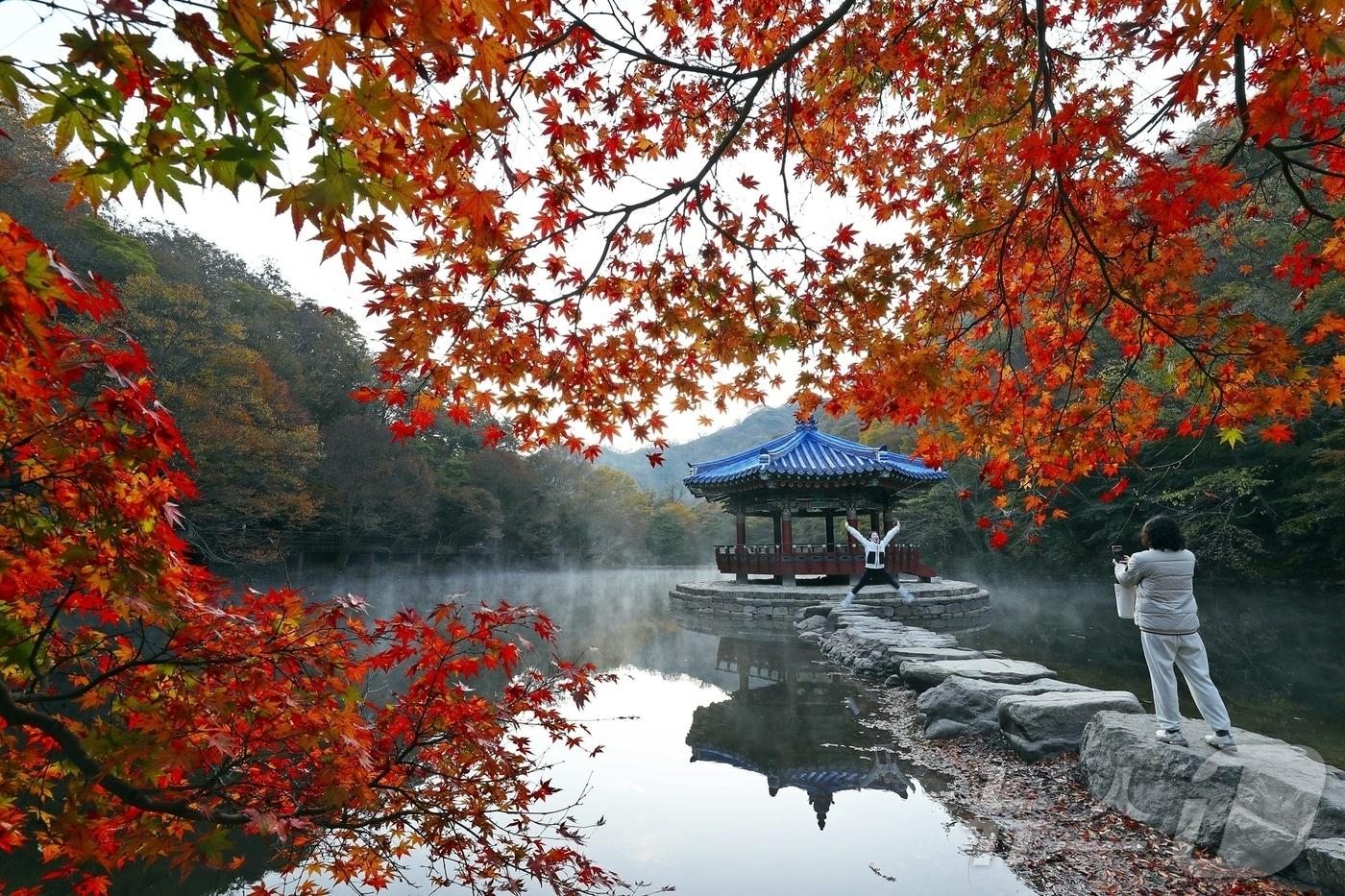   &#39;정읍 내장산의 단풍&#39;이 무르익기 시작하며 가을 정취를 더하고 있다. 내장산 우화정 앞에서 관광객이 사진을 찍고 있다.&#40;정읍시 제공&#41;2024.11.11/뉴스1