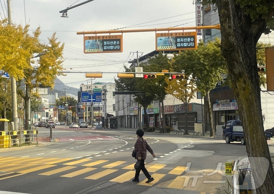  정읍시가 어린이보호구역 내 교통사고 예방과 보행자 안전 강화를 위해 동초등학교에 스마트 횡단보도를 설치했다.&#40;정읍시 제공&#41;2024.11.13/뉴스1