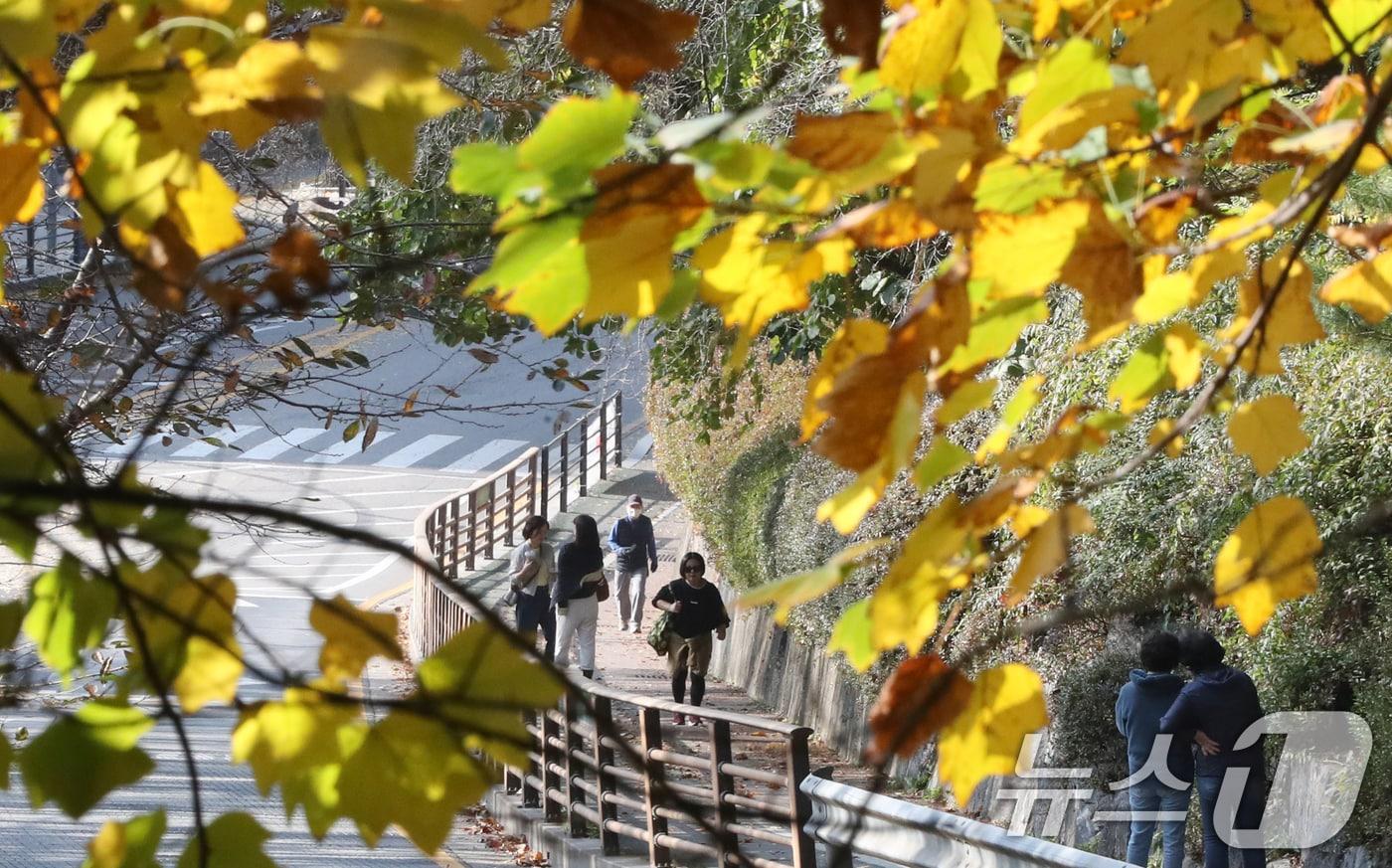 19일 경기도는 일부 지역의 아침 기온이 영하 4도까지 내려가는 등 추워질 것으로 예상된다. 사진은 지난 12일 오후 경기 수원시 팔달구 팔달산에서 시민들이 단풍을 보며 산책을 하고 있는 모습. 2024.11.12/뉴스1 ⓒ News1 김영운 기자