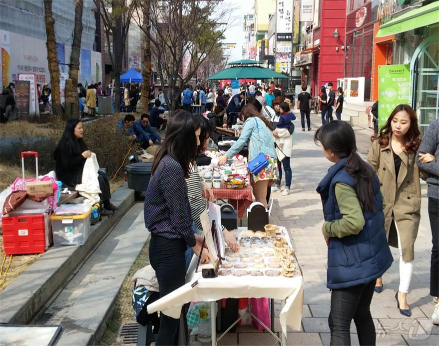 청주시 중앙동 소나무길.