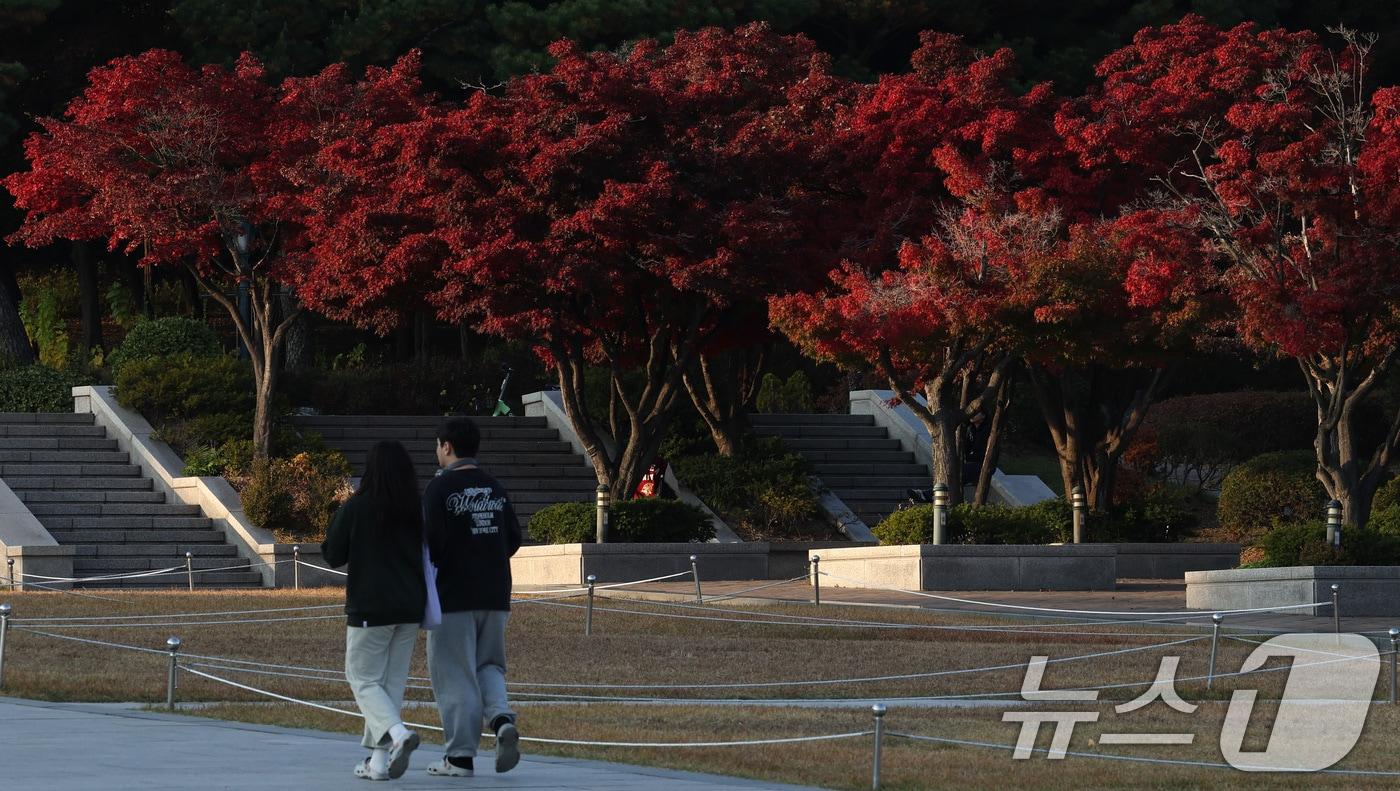 온화한 날씨를 보인 12일 서울 성북구 고려대학교에서 학생들이 발걸음을 옮기고 있다. 2024.11.12/뉴스1 ⓒ News1 김성진 기자