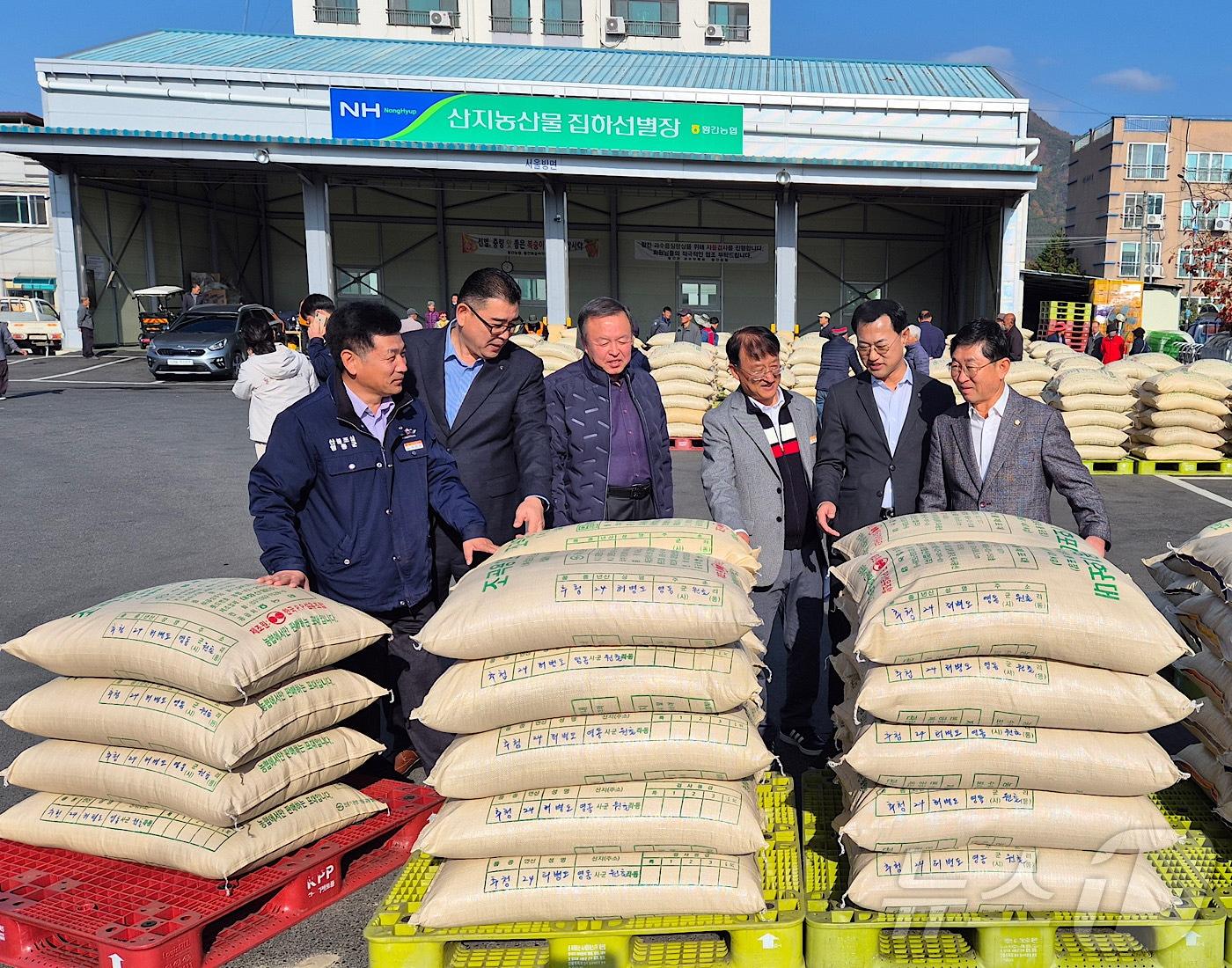 13일 강대영 농협 영동군지부장 등이 추곡수매 현장을 둘러보고 있다. &#40;농협 영동군지부 제공&#41; /뉴스1  