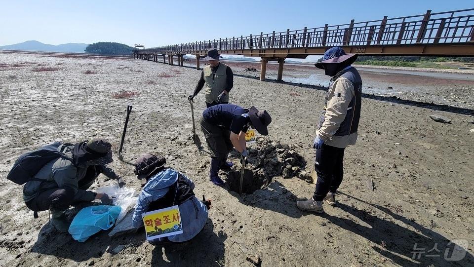 신안군, 증도 갯벌 토양 코어 시료 채취 &#40;신안군 제공&#41;/뉴스1 