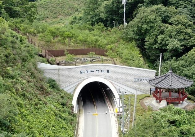 증평 좌구산 분젓치 생태터널.&#40;증평군 제공&#41;/뉴스1 ⓒ News1 엄기찬 기자