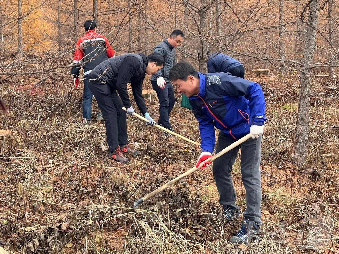 강원랜드와 정선국유림관리소가 14일 정선군 가리왕산에서 산림생태계 보전을 위한 ‘2024년 숲가꾸기 1일 체험행사’를 가졌다. &#40;강원랜드 제공&#41; 2024.11.14/뉴스1