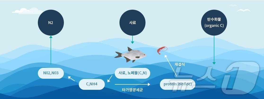 바이오플락&#40;한국어촌어항공단 제공&#41;