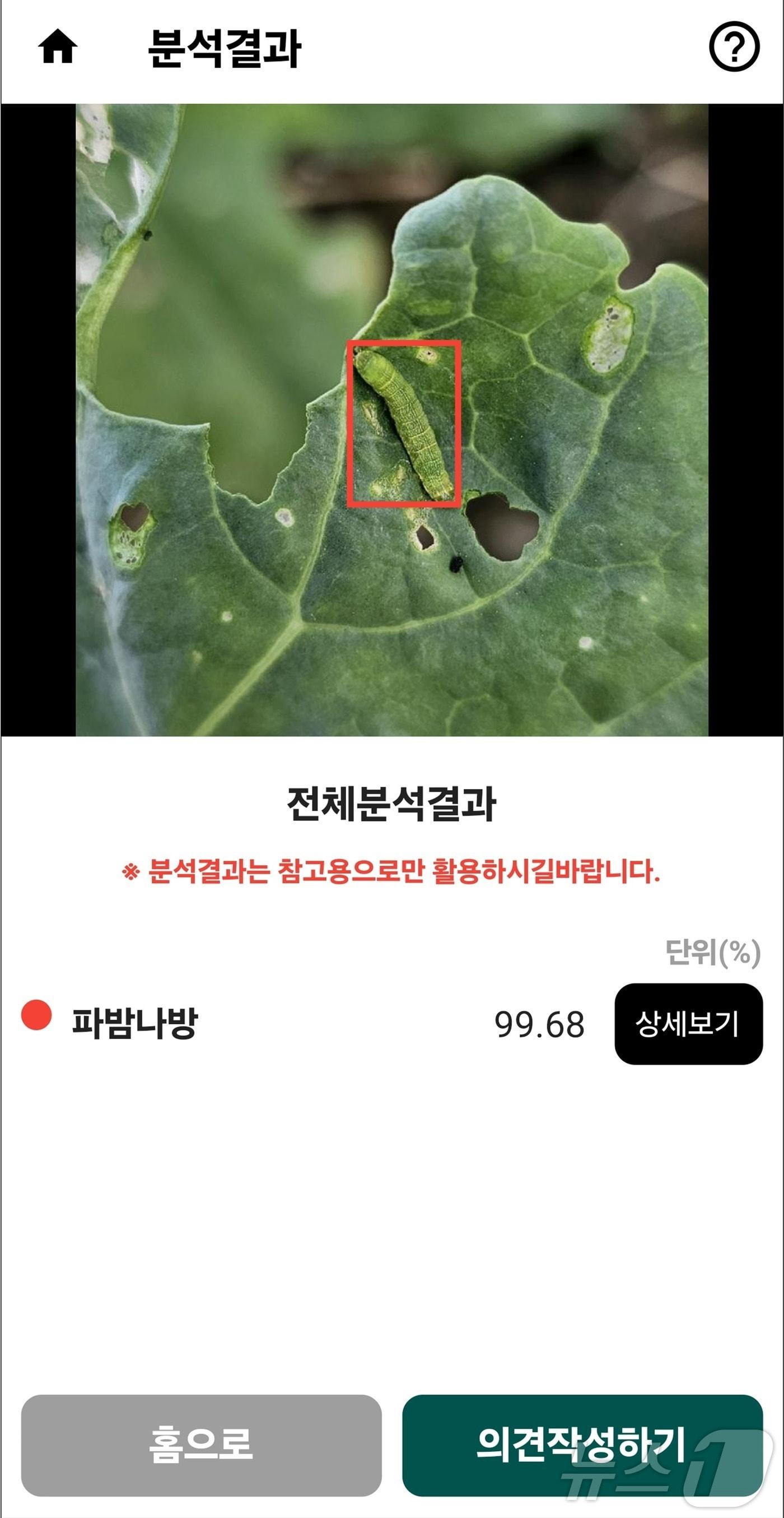 ‘스마트 병해충 진단 서비스’ 앱 갈무리.&#40;제주도 제공&#41;