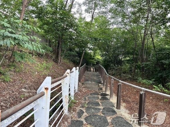  서울 종로구 국립 서울맹학교 뒷산&#40;종로구 제공&#41;