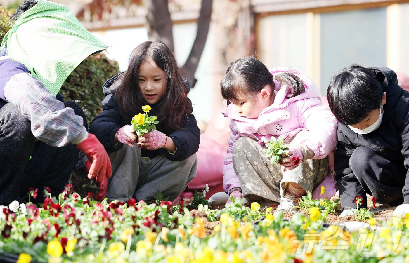 19일 광주 북구청 광장으로 야외활동 나온 북구청어린이집 아이들이 구청 공원녹지과 도시녹화팀 직원들과 비올라, 꽃배추 등의 겨울꽃을 식재하고 있다.&#40;광주 북구 제공&#41;2024.11.19/뉴스1 