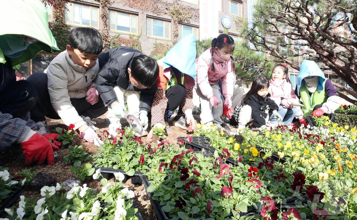 겨울꽃 식재하는 어린이집 아이들. &#40;광주 북구 제공&#41; / 뉴스1 &#40;사진은 기사 내용과 무관함&#41;  