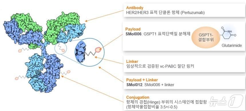 오름테라퓨틱이 개발 중인 단백질분해제항체접합체&#40;TDC&#41; &#39;ORM-5029&#39; 모식도.&#40;오름테라퓨틱 제공&#41;/뉴스1 ⓒ News1