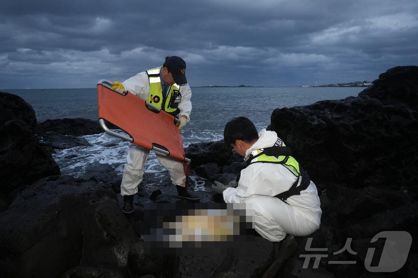 19일 낮 1시 쯤 제주시 조천읍 앞바다에서 죽은 바다거북 사체가 발견돼 인양되고 있다.&#40;다큐제주 제공&#41;