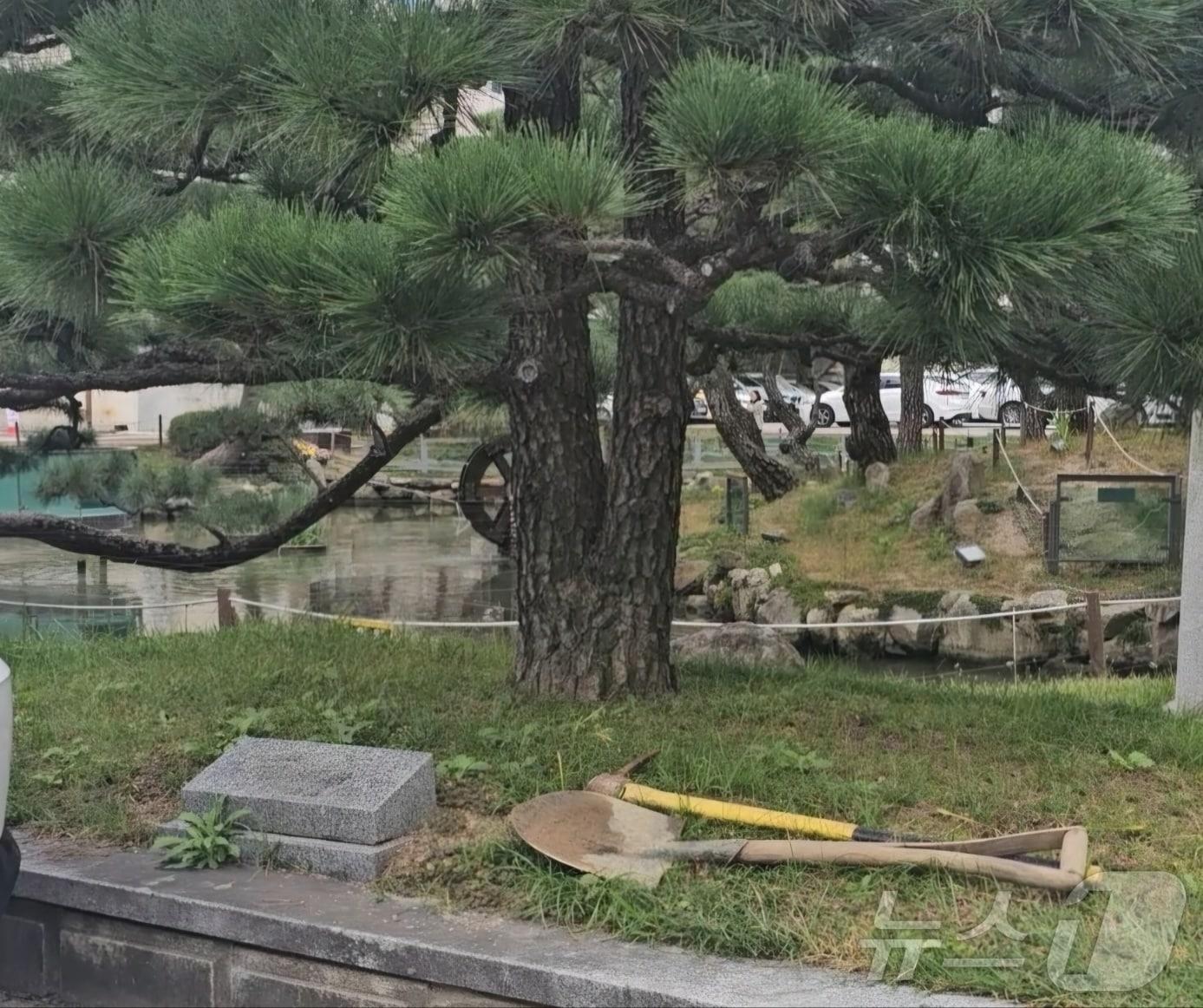 부산 해운대구청 청사 정원에 있는 전 씨부부의 기념식수 표지석&#40;해운대구청 제공&#41;