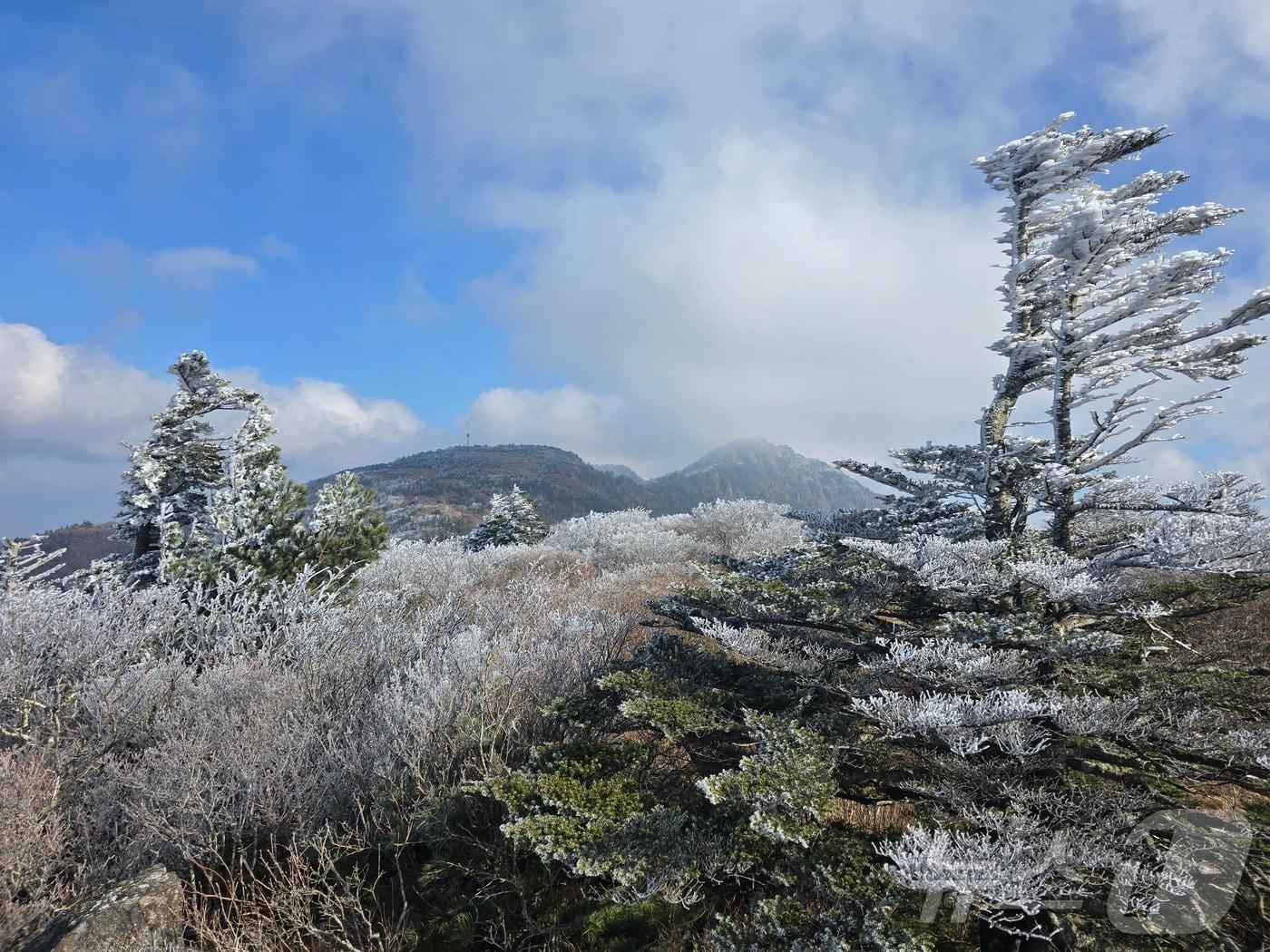 지리산 장터목 상고대&#40;지리산국립공원 제공&#41;.