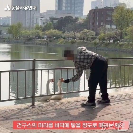 &#40;동물자유연대 블로그 갈무리&#41;