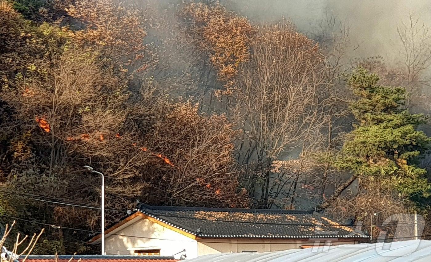 22일 오후 3시 34분쯤 경북 영주시 부석면 우곡리 한 야산에서 불이나 소방당국이 진화에 나섰다.&#40;산림청 제공&#41;2024.11.22/뉴스1