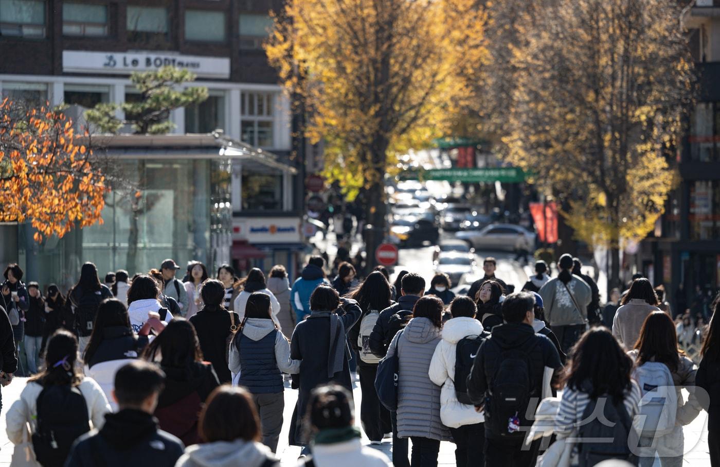 사진은 서울의 한 대학가 모습.  2024.11.24/뉴스1 ⓒ News1 이재명 기자