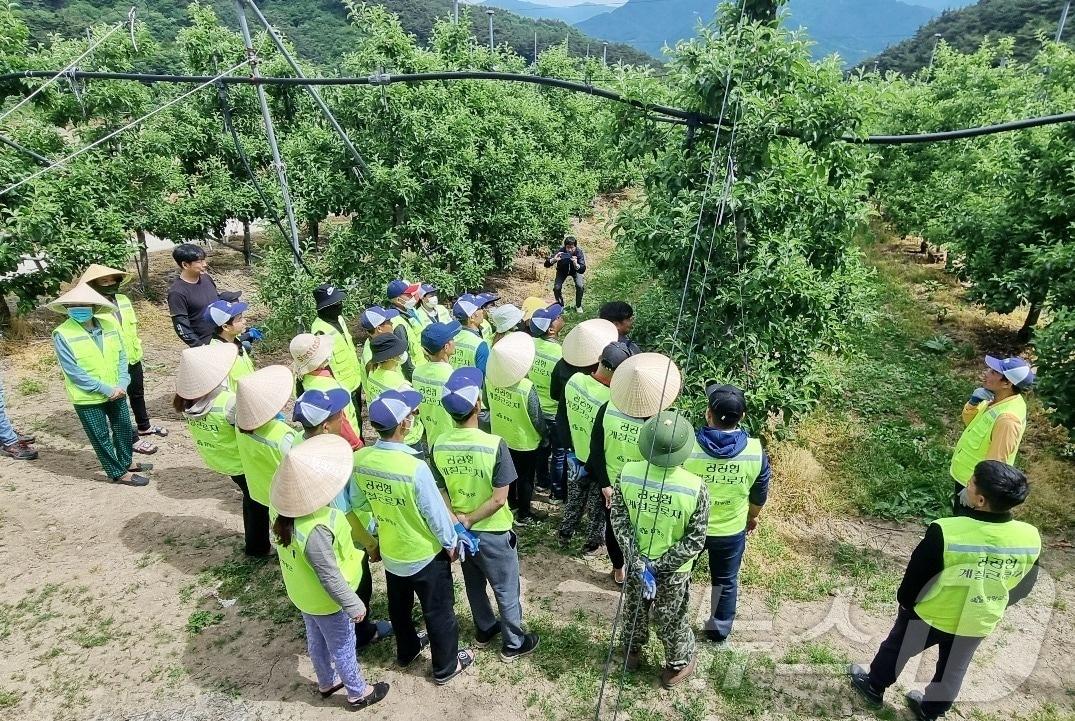 함양군 계절근로자들&#40;함양군 제공&#41;.