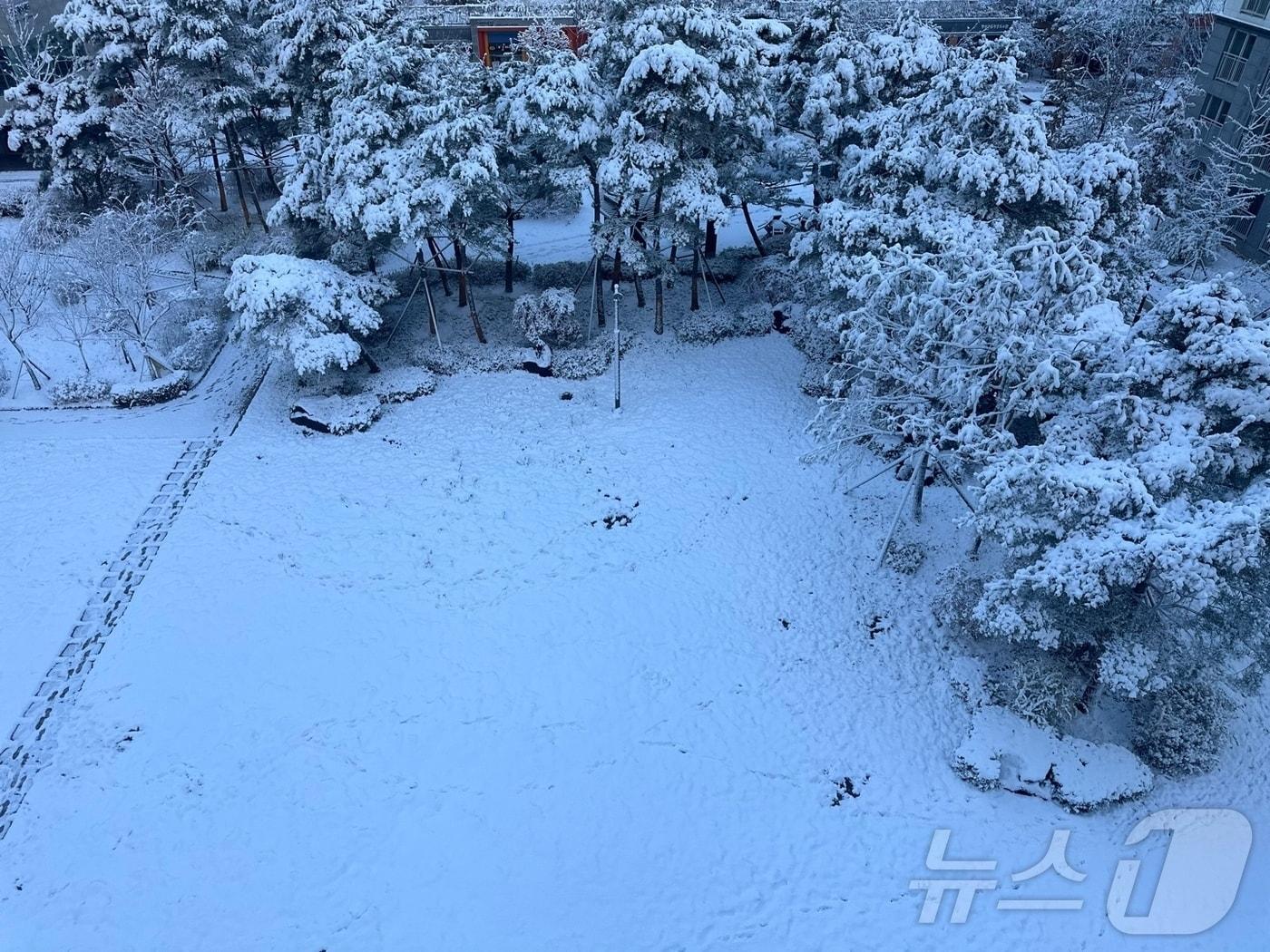 경기 양주시의 공터가 밤 사이 내린 눈으로 하얗게 변해버린 모습. 2024.11.27/뉴스1 ⓒ News1 이상휼 기자