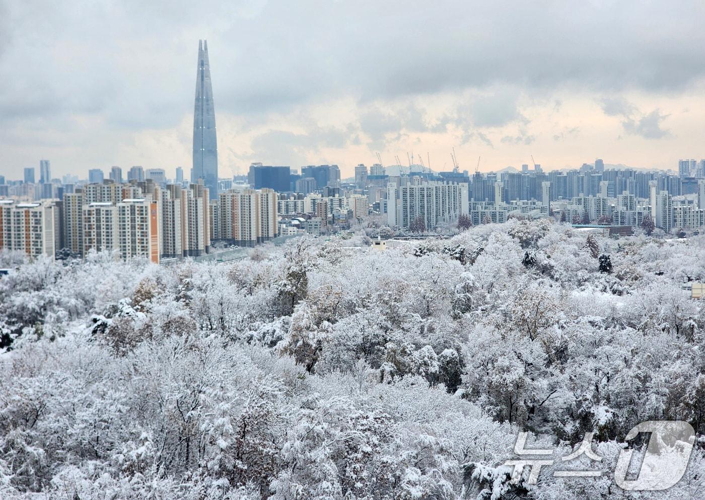 서울에 첫눈이 내린 27일 오전 서울 송파구에 눈이 쌓여 그림같은 풍경을 보이고 있다. 2024.11.27/뉴스1 ⓒ News1 박세연 기자