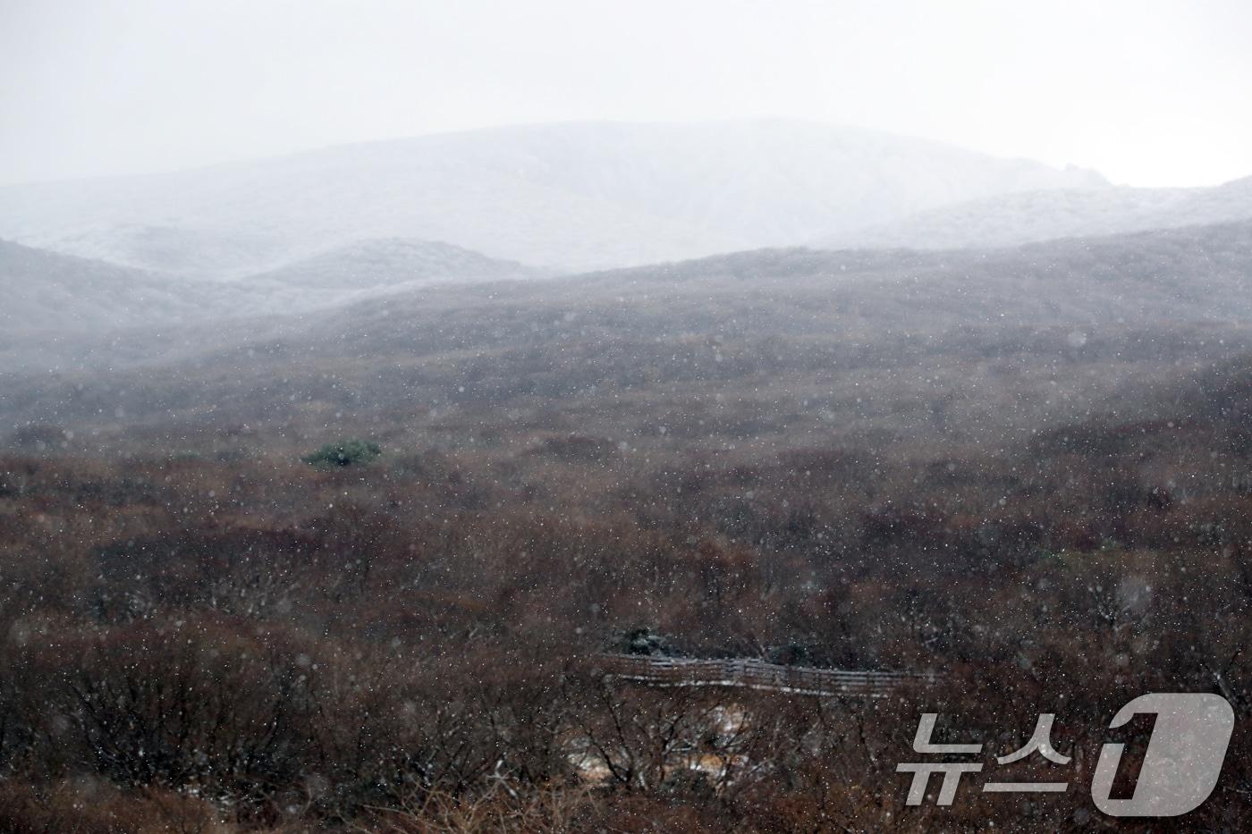 한라산국립공원 1100고지휴게소에 눈이 내리고 있다. 2024.11.27/뉴스1 ⓒ News1 오현지 기자