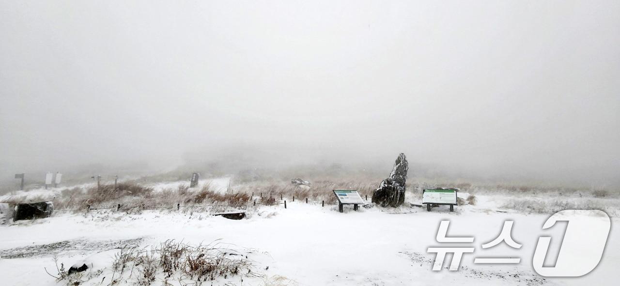 27일 오전 광주 무등산 장불재에 올해 첫눈이 내리고 있다. &#40;무등산국립공원 사무소 제공&#41; 2024.11.27/뉴스1 