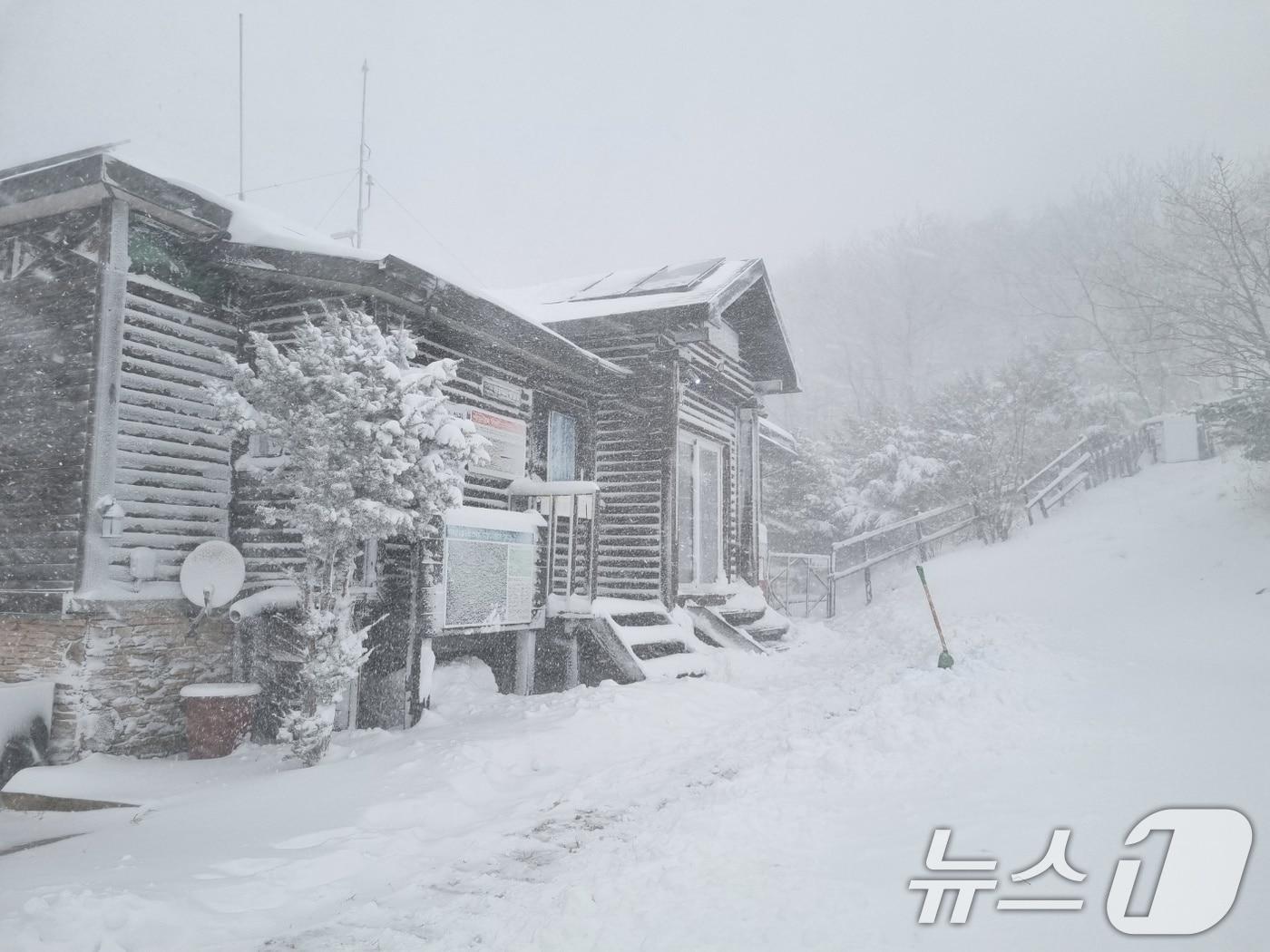 지난달 27일 전북 무주 덕유산국립공원에 밤사이 내린 첫눈이 쌓여 있다. &#40;덕유산국립공원사무소 제공&#41; 2024.11.27/뉴스1