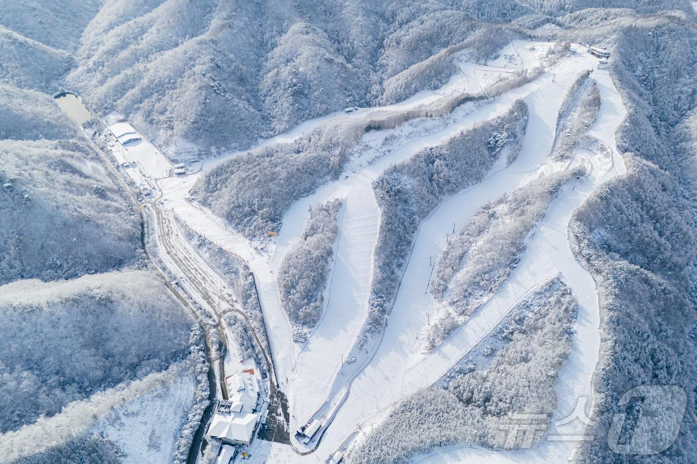 27일 강원 춘천시 남산면 소재 엘리시안강촌 스키장에 첫 눈이 내리면서 눈 꽃이 장관을 이루고 있다.&#40;엘리시안 강촌 제공&#41; 2024.11.27/뉴스1 ⓒ News1 이종재 기자