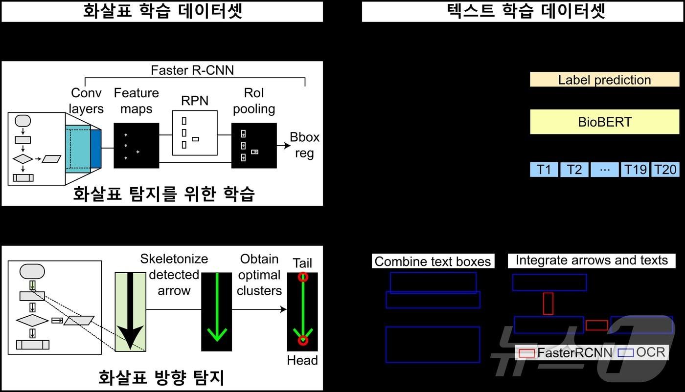 바이오 경로 이미지에서 생화학 반응 정보를 자동으로 추출하는 EBPI의 모식도.&#40;KAIST 제공&#41;/뉴스1