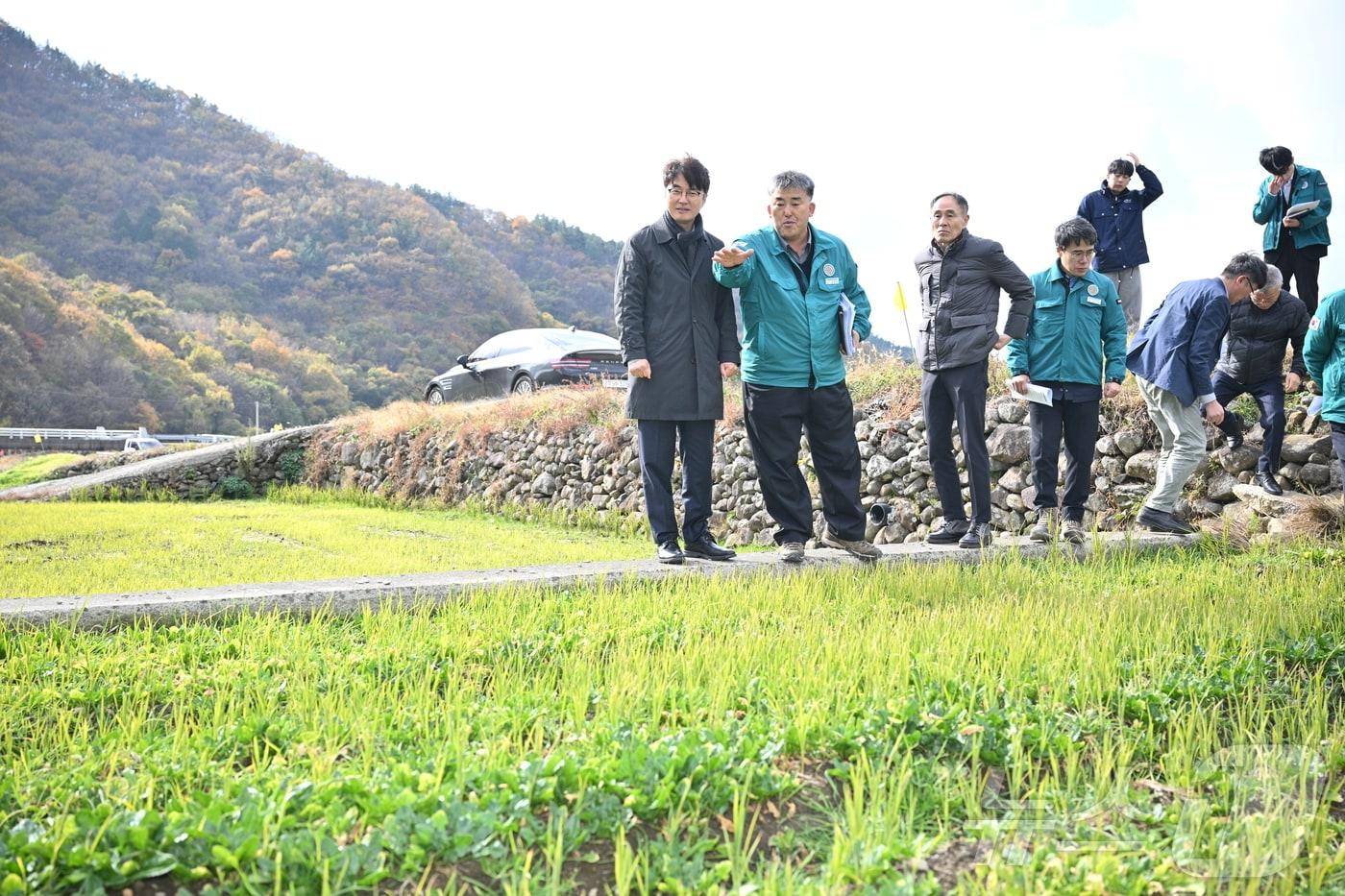 기획재정부와 경남도, 남해군 관계자가 습해 피해를 입은 시금치 농가를 점검하고 있다.&#40;남해군 제공&#41;