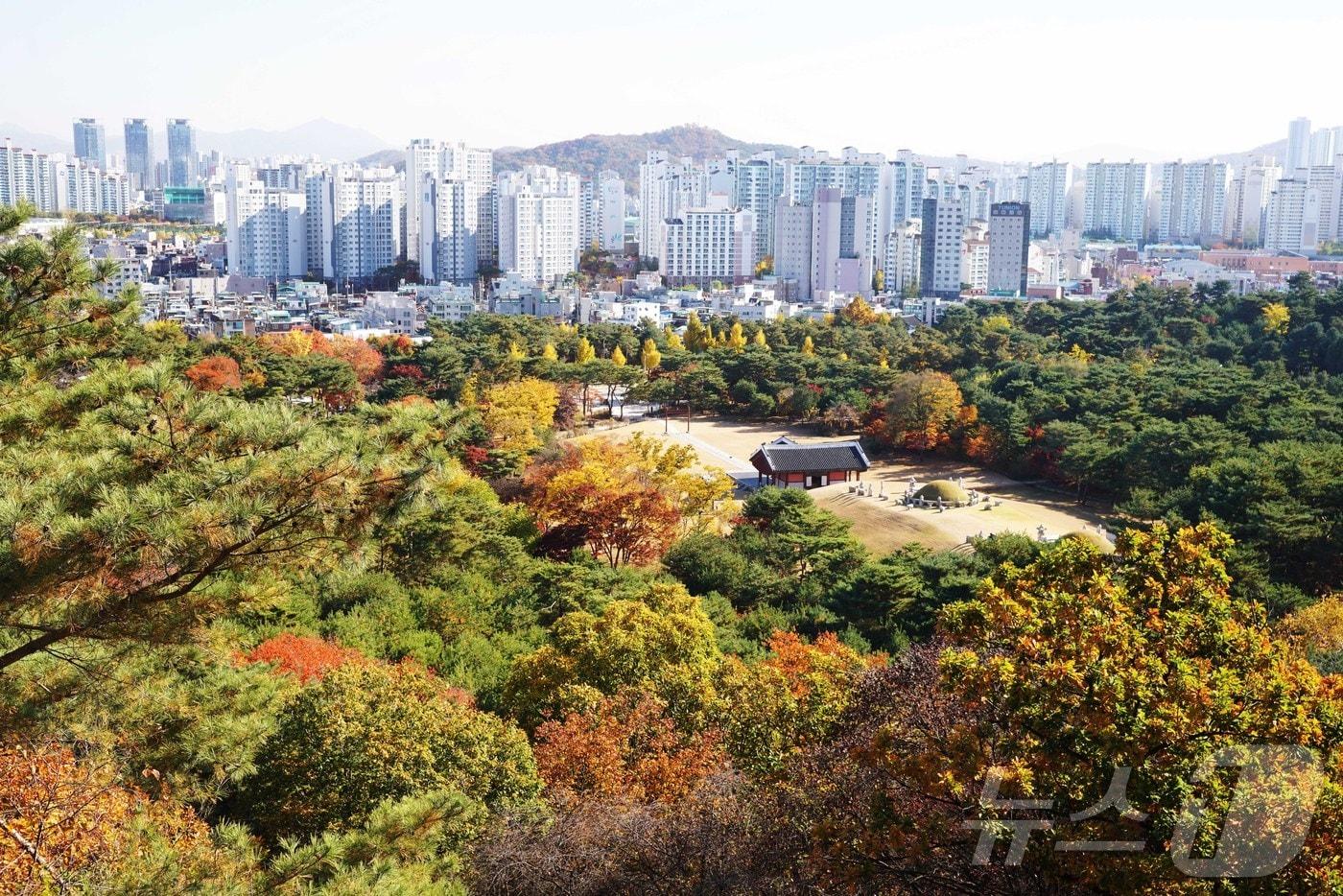 서울 의릉 전경&#40;이정근 작가 촬영&#41;. 국가유산청 제공.