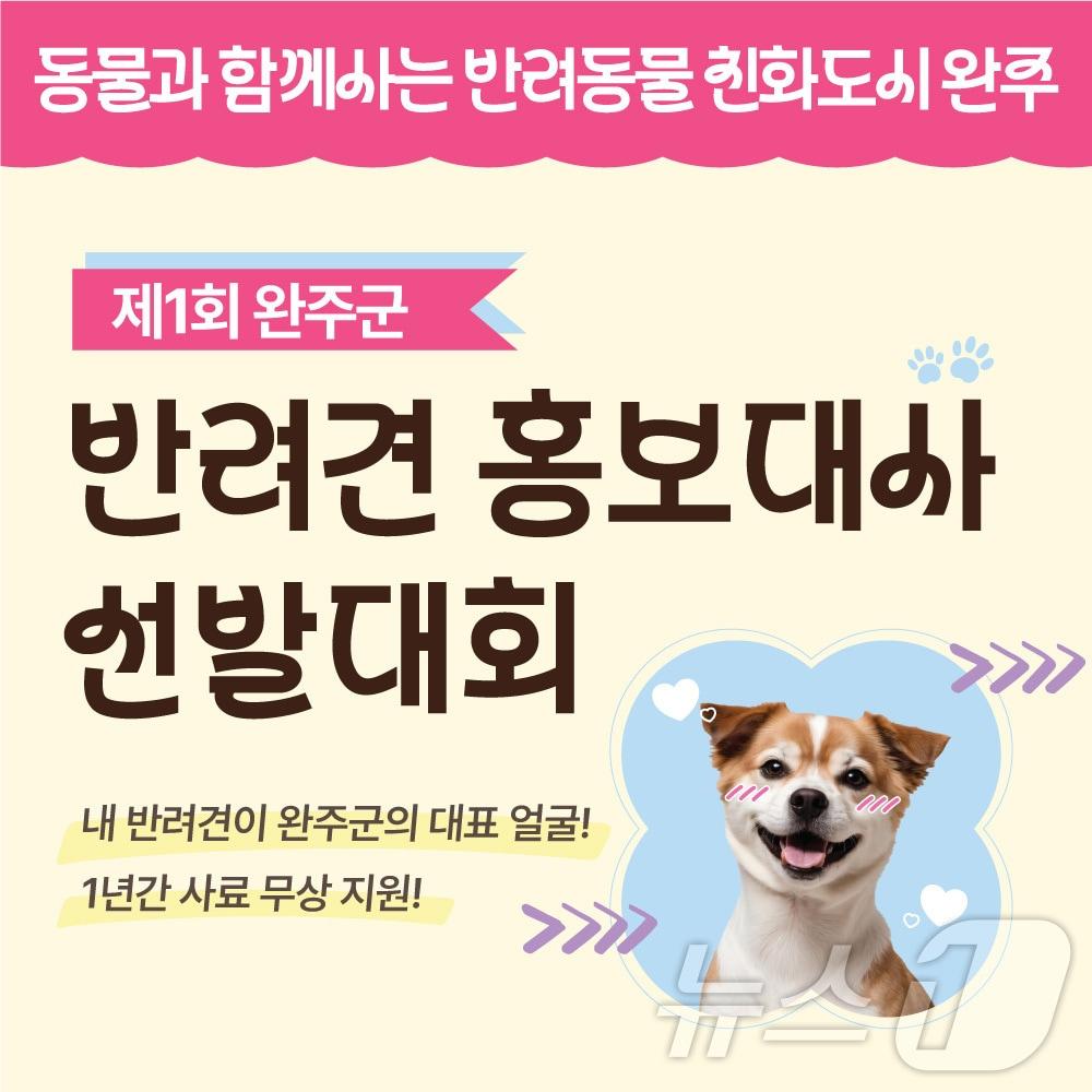 전북 완주문화재단은 오는 8일까지 반려견 홍보대사 5마리를 모집한다고 4일 밝혔다.&#40;완주군 제공&#41;2024.11.4/뉴스1