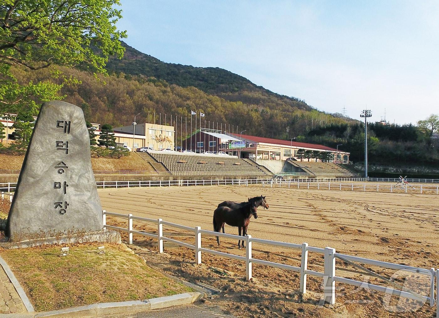 대구공공시설관리공단은 대덕승마장 체험승마장을 새롭게 조성해 오는 9일부터 주말 체험승마 프로그램을 확대한다. 사진은 대덕승마장 전경. &#40;대구공공시설관리공단 제공&#41;