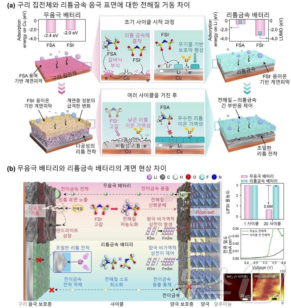 무음극 배터리와 리튬금속배터리의 작동 메커니즘 등.&#40;KAIST 제공&#41;/뉴스1