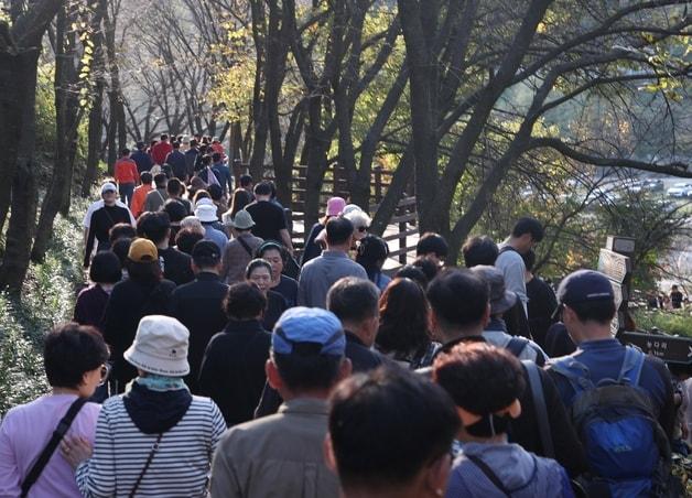 진천 농다리 데크길을 찾은 방문객.&#40;진천군 제공&#41;/뉴스1