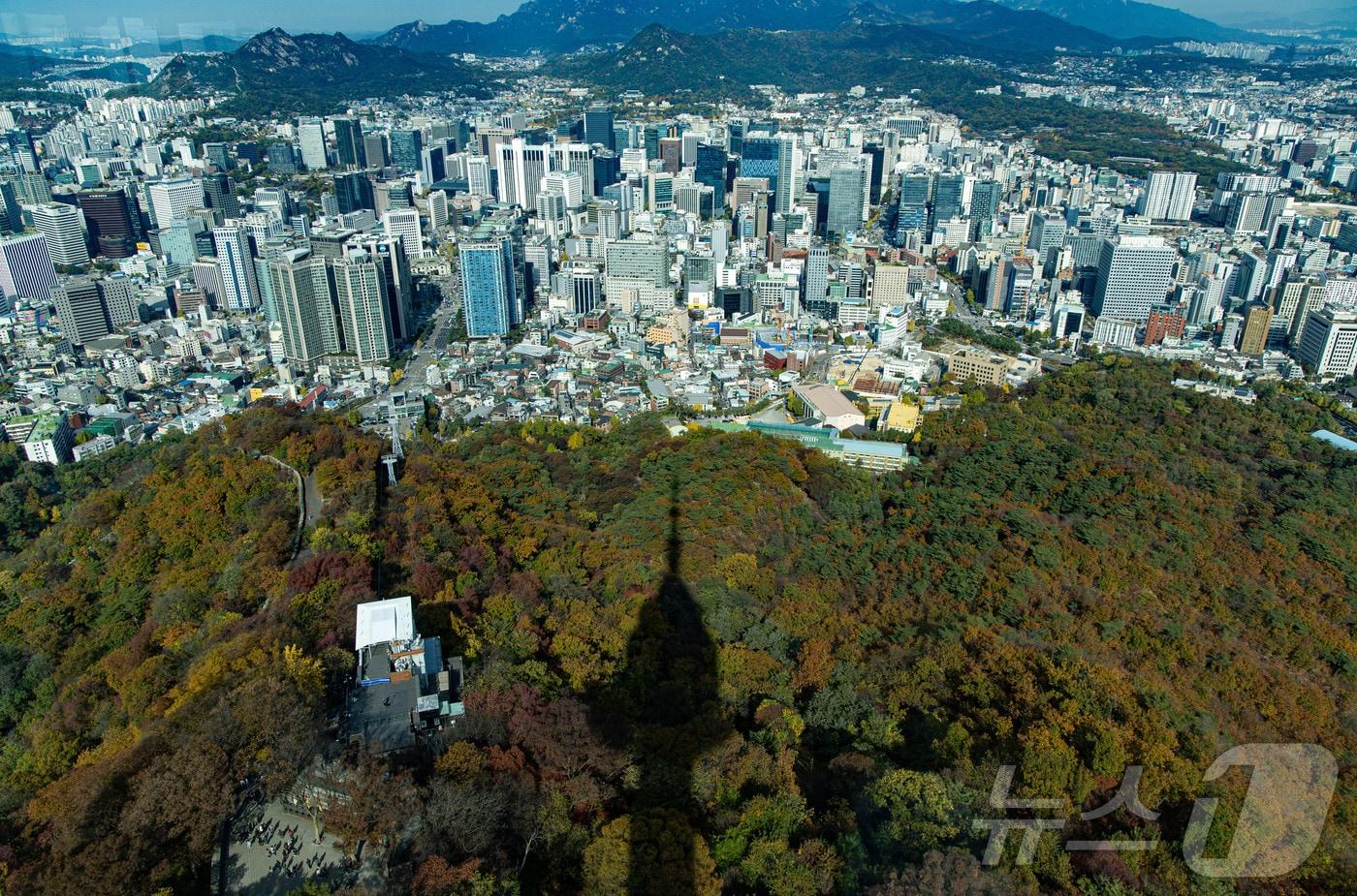 기온이 뚝 떨어진 5일 서울 중구 N서울타워에서 바라본 남산에 단풍이 물들어 있다. 2024.11.5/뉴스1 ⓒ News1 이재명 기자