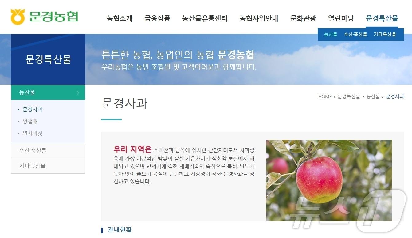 문경농협 홈페이지 내 사과를 특산물로 소개하고 있다&#40;문경농협 홈페이지&#41;2024.11.5/뉴스1