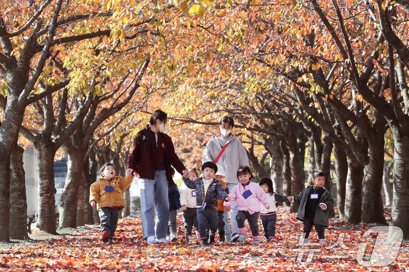 입동&#40;立冬&#41;을 하루 앞둔 6일 대구 수성구 대구스타디움 산책로에서 선생님과 함께 나들이 나온 어린이들이 단풍과 낙엽이 조화를 이룬 나무 아래서 즐거운 시간을 보내고 있다. 2024.11.6/뉴스1 ⓒ News1 공정식 기자