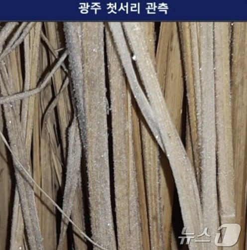 입동인 7일 광주에 올해 첫서리가 관측된 모습. &#40;광주지방기상청 제공&#41; 2024.11.7/뉴스1