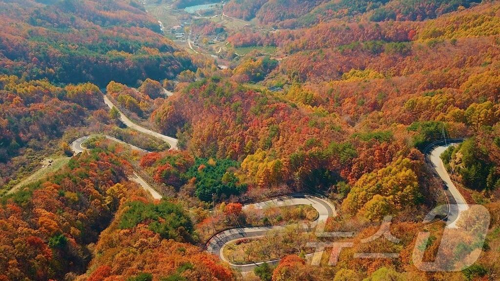 충북 영동군 도마령&#40;刀馬岺, 해발 840m&#41;이 울긋불긋 물든 단풍과 어우러져 늦가을 풍광을 뽐내고 있다. &#40;영동군 제공&#41; /뉴스1 