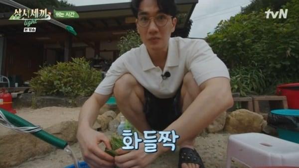 tvN &#39;삼시세끼 라이트&#39;