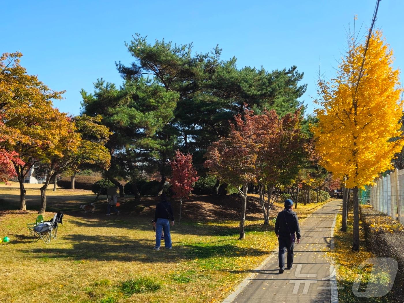 토요일인 9일 낮 강원 춘천 의암공원에서 시민들이 휴일을 맞아 즐거운 시간을 보내고 있다.2024.11.9 한귀섭 기자