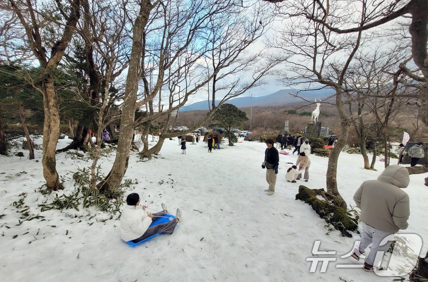 한라산국립공원 1100고 휴게소 인근에서 관광객들이 겨울 정취를 만끽하고 있다.2024.12.1/뉴스1 ⓒ News1 고동명 기자