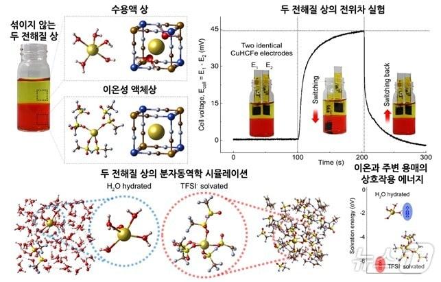 섞이지 않는 두 전해질에서 전기 에너지 생성 및 원리.&#40;KAIST 제공&#41;/뉴스1