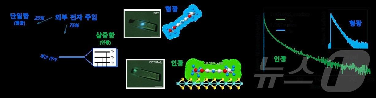 발광 반도체의 단일항과 삼중항의 에너지 준위 상태 및 외부 전자 주입의 개념 모식도와 형광 인광의 측정 결과.&#40;인하대 제공&#41;2024.12.10/뉴스1