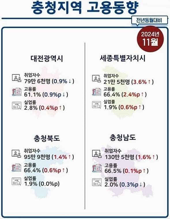 2024년 11월 충청지역 고용동향.&#40;충청지방통계청 제공&#41;/뉴스1